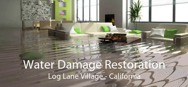 Water Damage Restoration Log Lane Village - California