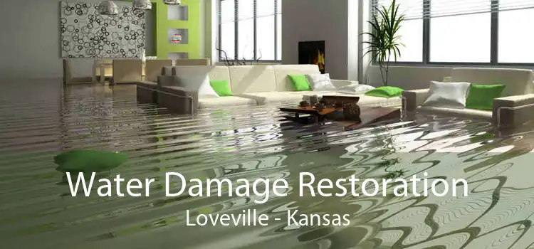 Water Damage Restoration Loveville - Kansas