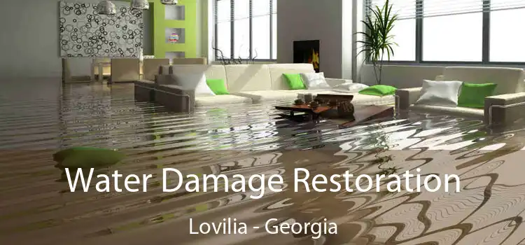 Water Damage Restoration Lovilia - Georgia