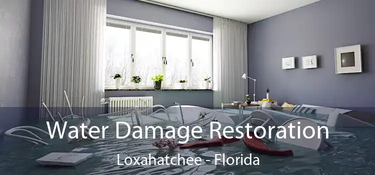 Water Damage Restoration Loxahatchee - Florida