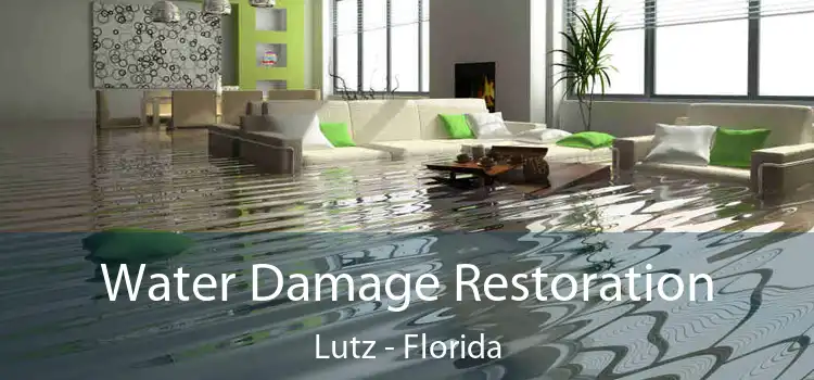 Water Damage Restoration Lutz - Florida