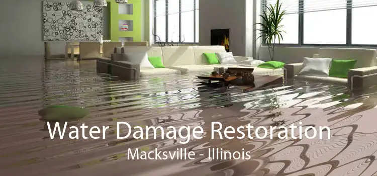Water Damage Restoration Macksville - Illinois