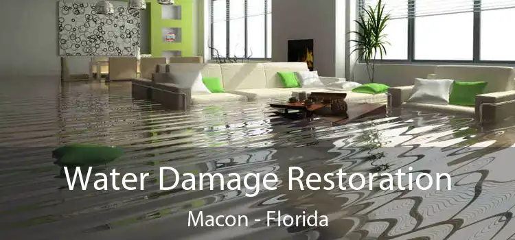 Water Damage Restoration Macon - Florida