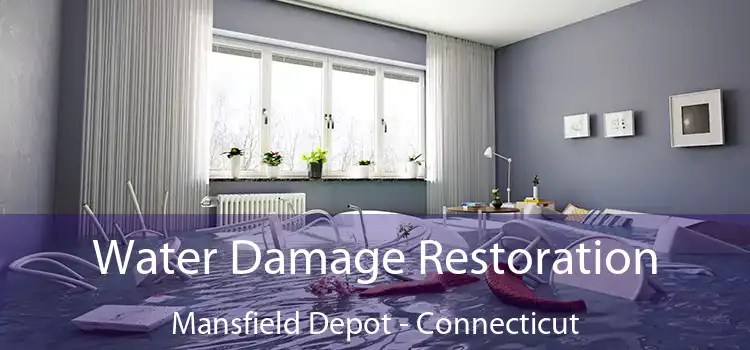 Water Damage Restoration Mansfield Depot - Connecticut