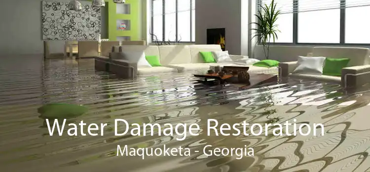 Water Damage Restoration Maquoketa - Georgia