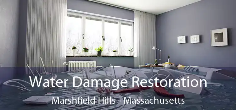 Water Damage Restoration Marshfield Hills - Massachusetts
