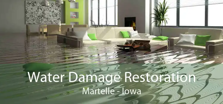 Water Damage Restoration Martelle - Iowa