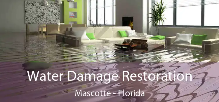 Water Damage Restoration Mascotte - Florida