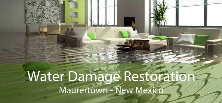 Water Damage Restoration Maurertown - New Mexico