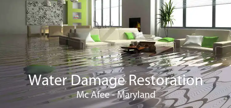 Water Damage Restoration Mc Afee - Maryland