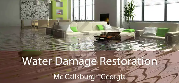 Water Damage Restoration Mc Callsburg - Georgia