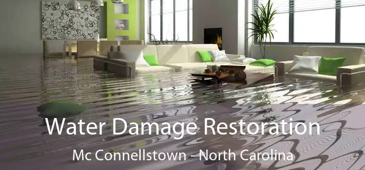 Water Damage Restoration Mc Connellstown - North Carolina