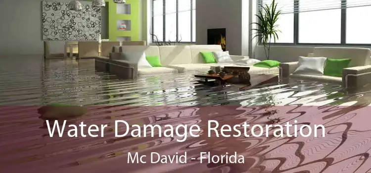 Water Damage Restoration Mc David - Florida