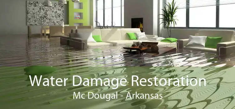 Water Damage Restoration Mc Dougal - Arkansas
