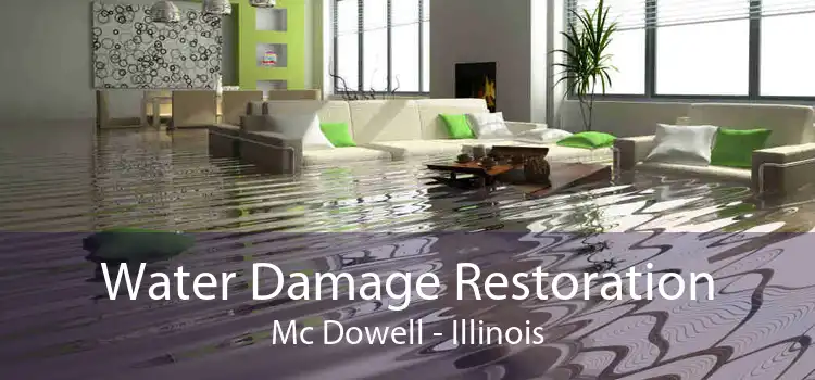 Water Damage Restoration Mc Dowell - Illinois