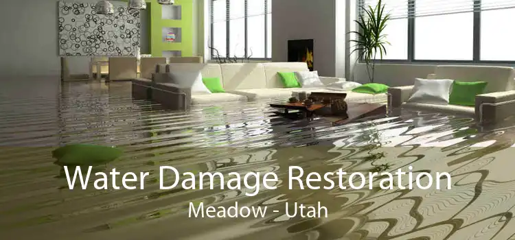 Water Damage Restoration Meadow - Utah