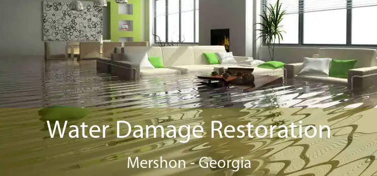 Water Damage Restoration Mershon - Georgia