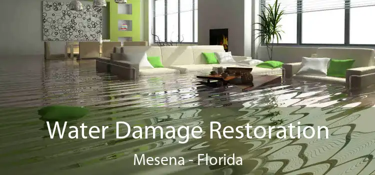 Water Damage Restoration Mesena - Florida