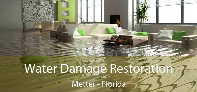 Water Damage Restoration Metter - Florida