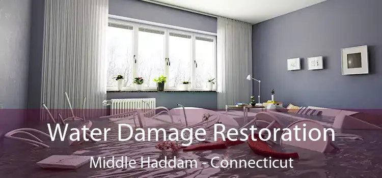 Water Damage Restoration Middle Haddam - Connecticut