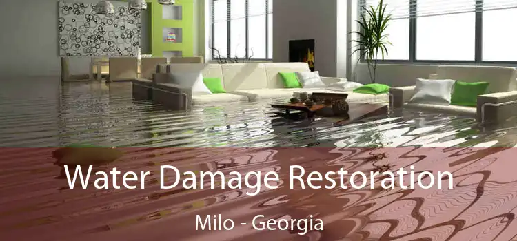 Water Damage Restoration Milo - Georgia