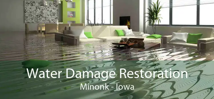 Water Damage Restoration Minonk - Iowa