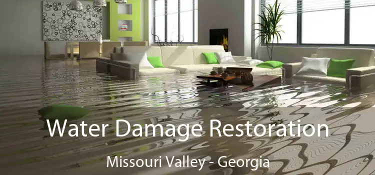 Water Damage Restoration Missouri Valley - Georgia