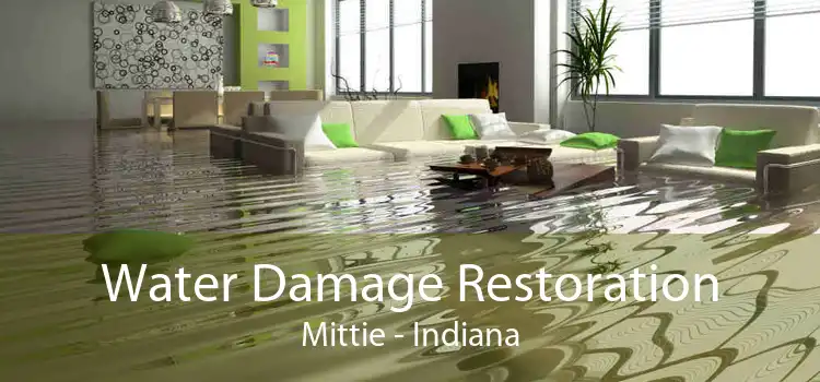 Water Damage Restoration Mittie - Indiana