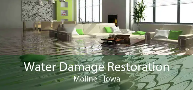 Water Damage Restoration Moline - Iowa