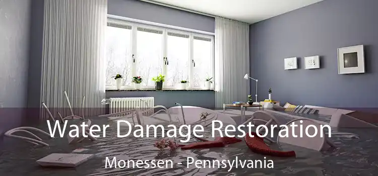 Water Damage Restoration Monessen - Pennsylvania