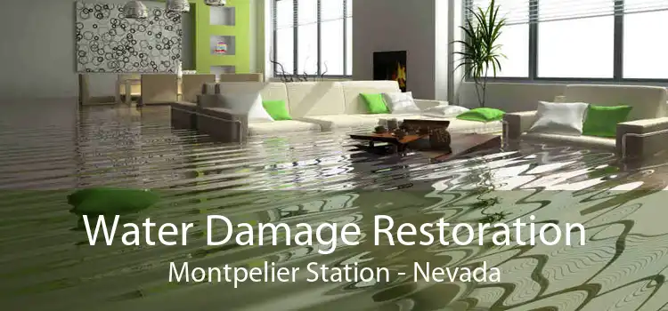 Water Damage Restoration Montpelier Station - Nevada