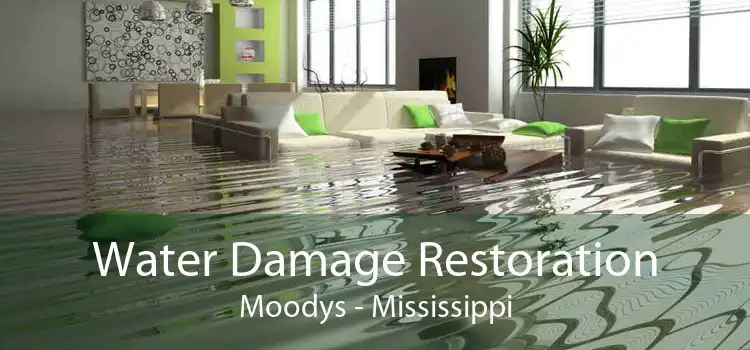 Water Damage Restoration Moodys - Mississippi