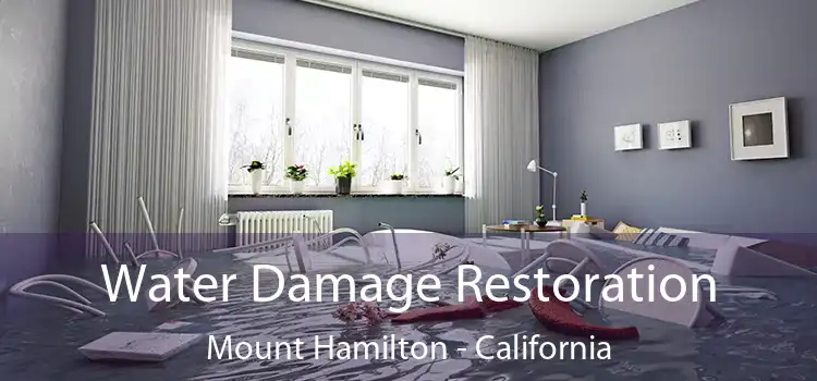 Water Damage Restoration Mount Hamilton - California