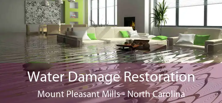 Water Damage Restoration Mount Pleasant Mills - North Carolina