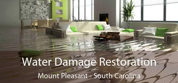 Water Damage Restoration Mount Pleasant - South Carolina