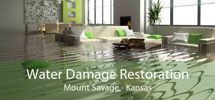 Water Damage Restoration Mount Savage - Kansas