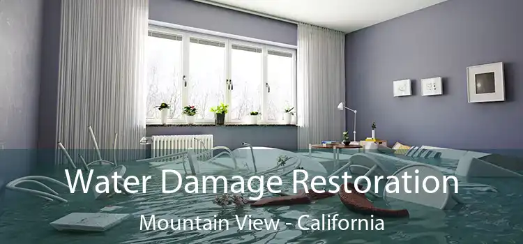 Water Damage Restoration Mountain View - California