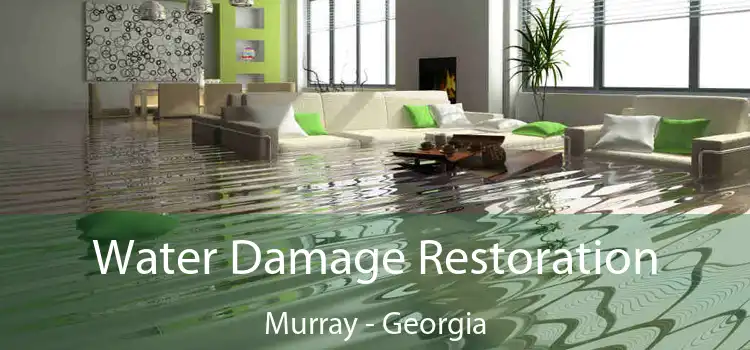 Water Damage Restoration Murray - Georgia