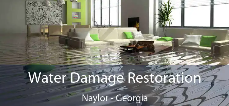 Water Damage Restoration Naylor - Georgia