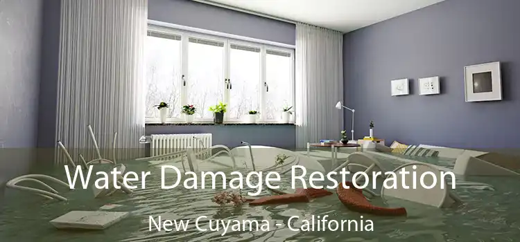 Water Damage Restoration New Cuyama - California