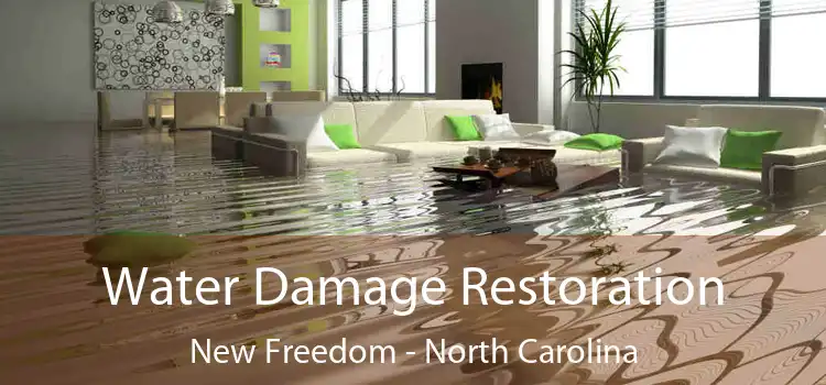 Water Damage Restoration New Freedom - North Carolina