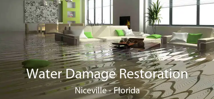 Water Damage Restoration Niceville - Florida