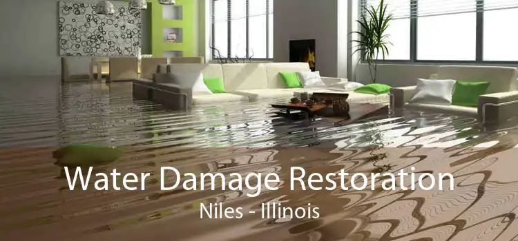 Water Damage Restoration Niles - Illinois
