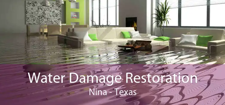 Water Damage Restoration Nina - Texas