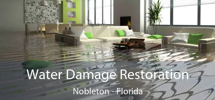 Water Damage Restoration Nobleton - Florida