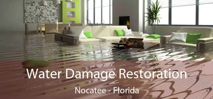 Water Damage Restoration Nocatee - Florida