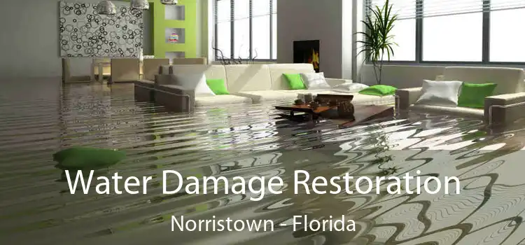 Water Damage Restoration Norristown - Florida