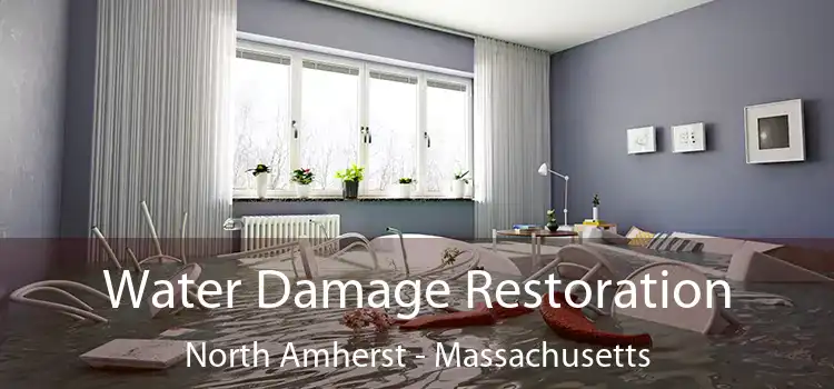 Water Damage Restoration North Amherst - Massachusetts