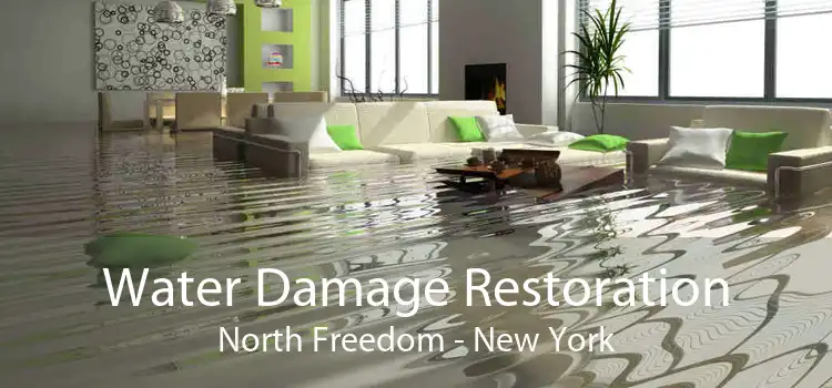 Water Damage Restoration North Freedom - New York