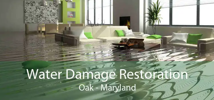 Water Damage Restoration Oak - Maryland